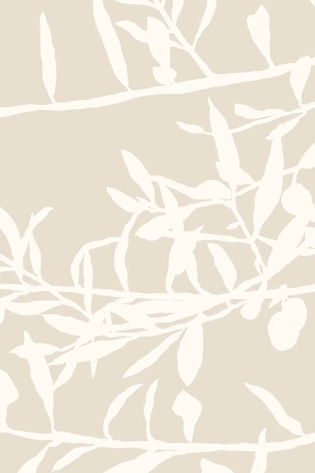 Olive Branch Begie