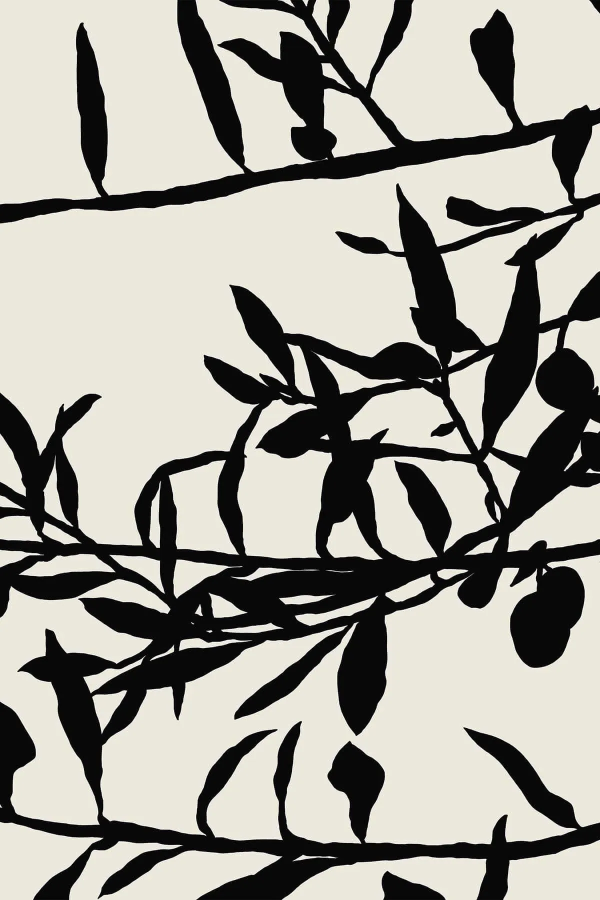 Olive Branch Black