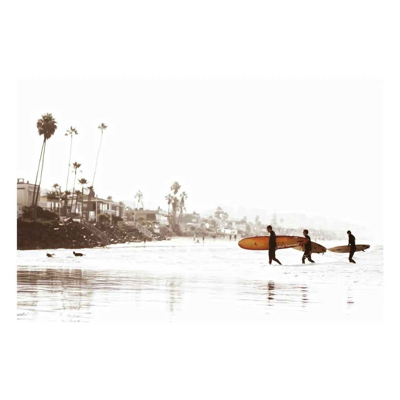 "Saturday" | Surfer Print on Aluminum